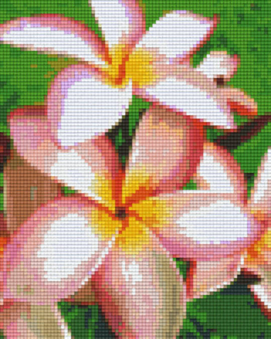 Frangipain Four [4] Baseplate PixelHobby Mini-mosaic Art Kits